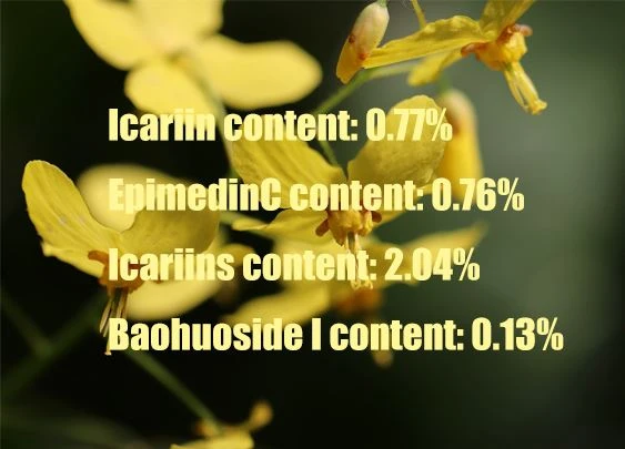 The content of epimedium icariin produced in Gansu2