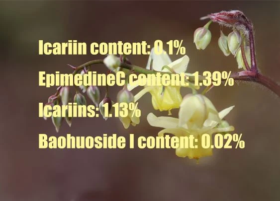 The analysis of the flavonoids of Epimedium plants produced in Sichuan1