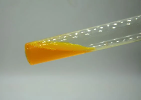 Curcumin dissolves in methanol by Botanical Cube Inc.