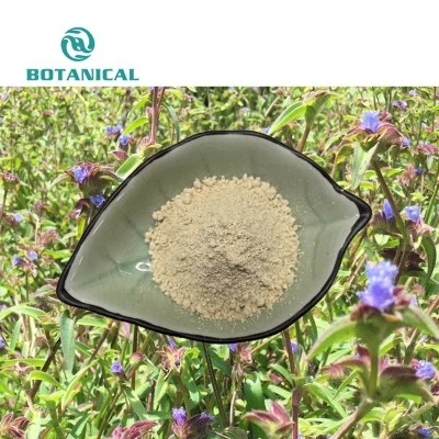 Beta ecdysterone bulk powder by Botanical Cube Inc Beta ecdysterone bulk powder by Botanical Cube Inc