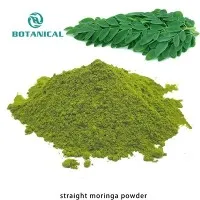 Extracto de moringa en polvo de hoja de moringa
