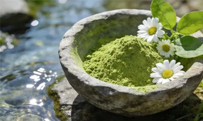 ¿Cuáles son los beneficios medioambientales del matcha orgánico en polvo?
