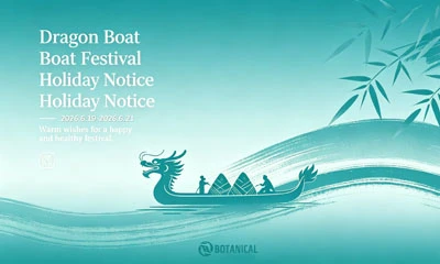 Aviso de vacaciones del Dragon Boat Festival 2026
