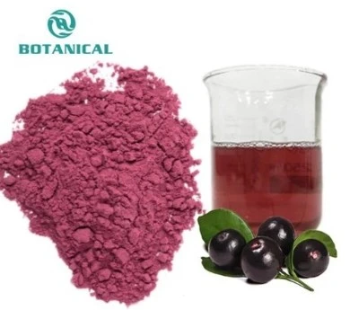 Acai Berry Extract Powder Acai Berry Extract Powder