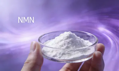 ¿Cuál es el mejor suplemento NMN?
