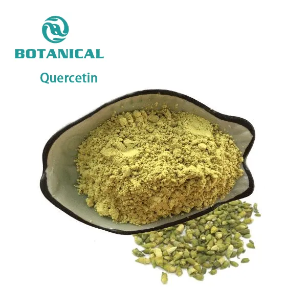 Sophora Japonica Extract Quercetin